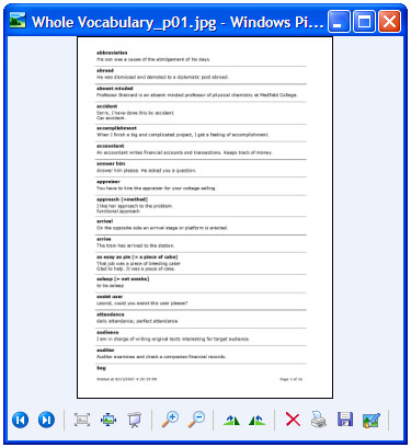 Konvertierter Bericht in "Windows Bild- und Faxanzeige".