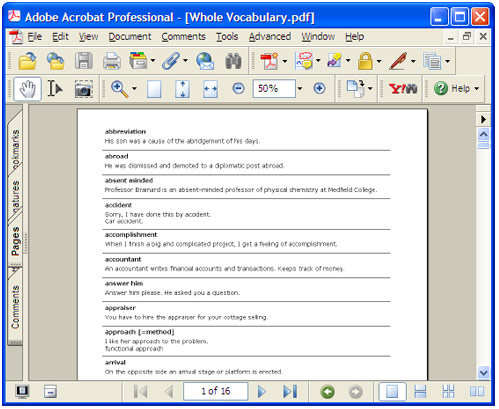 Konvertierter Bericht in Adobe Acrobat.