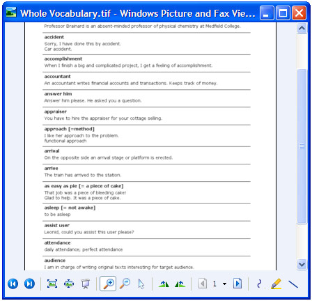 Konvertierter Bericht in "Windows Bild- und Faxanzeige".