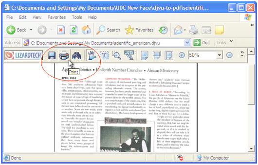 DjVu-Datei in Internet Explorer öffnen und in der Symbolleiste des DjVu-Browser-Plugins auf die Schaltfläche "Drucken" klicken