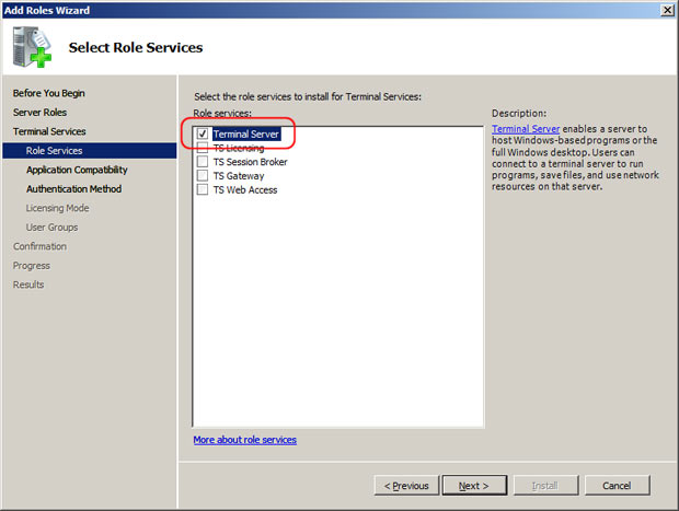 Check Terminal Server